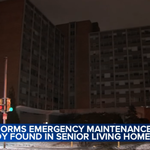 copper thief found in building